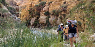 טיול רגלי לקניוני ים המלח בירדן: נחל זרד המקראי (וואדי חיסה)